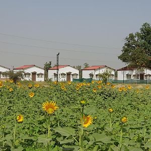 Living Green Farms
